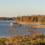 Purtis Creek State Park, Texas