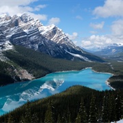 Peyto Lake, Alberta