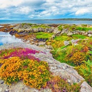 The Burren, Co. Clare