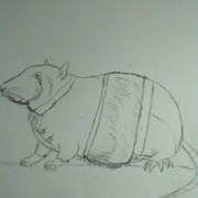 Christian Von Torn (Slumbers Hollow)