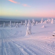 Levi, Finland