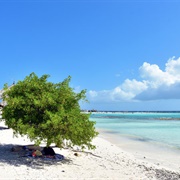 Baby Beach, Aruba