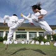 Taekkyeon Martial Arts, Korea