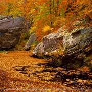 Shawnee National Forest