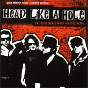 The Devil Makes Work for Idle Hands - Head Like a Hole