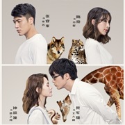 Tree in the River 动物系恋人啊