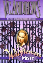 Misty (V.C. Andrews)