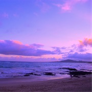 Isabela Island, Galapagos
