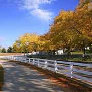 Randolph, New Jersey