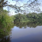 Negro River