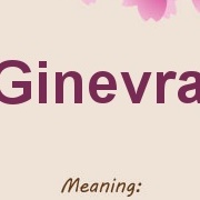 Ginevra