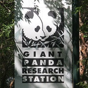 Panda Research Station