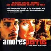 Amores Perros