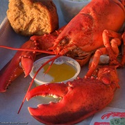 Eat Lobster in Maine