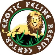 Exotic Feline Rescue Center