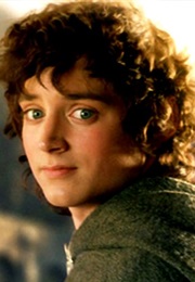Lord of the Rings Series--Frodo Baggins (A Reluctant Hero)