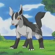 Mightyena