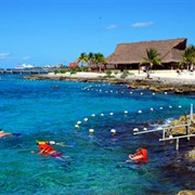 Chankanaab National Park, Cozumel