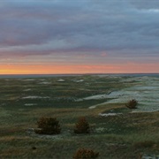 Monomoy National Wildlife Refuge