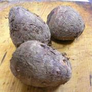 Japanese Yam