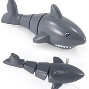 Shark