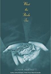 What the Birds See (Sonya Hartnett)