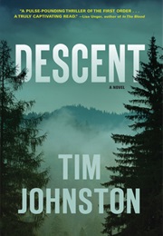 Descent (Tim Johnston)