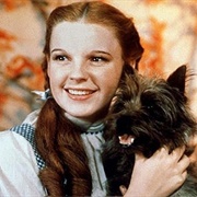 Dorthoy Gale and Toto