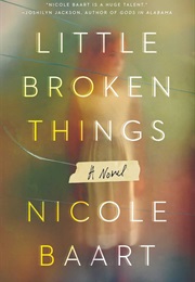 Little Broken Things (Nicole Baart)