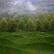 Maya Lin's Wave Field