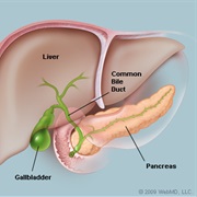 Pancreas Failure