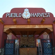 Pueblo Harvest