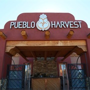 Pueblo Harvest