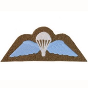 Earn British Parachutist Badge
