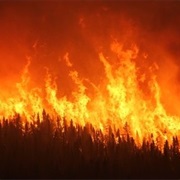 Started an Uncontrolled Fire