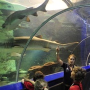 Manley Sealife Sanctuary