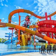 Waterpark With Friends