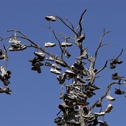 Put Shoes on a Shoe Tree