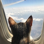 Travel Somewhere New