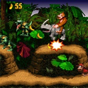 Donkey Kong Country