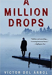 A Million Drops (Victor Del Árbol)