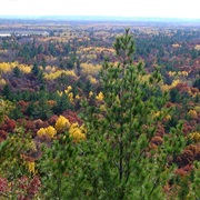Black River State Forest, Wisconsin