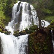 Falls Creek Falls Trail