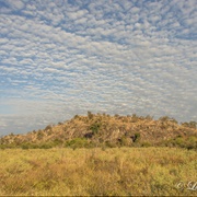 Leopard Rock, Savuti, Botswana