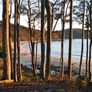 Murramarang National Park (NSW)