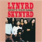Lynyrd Skynyrd - What's Your Name