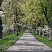 Wilderness Road Heritage Highway