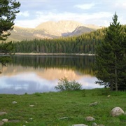 Arapaho National Forest