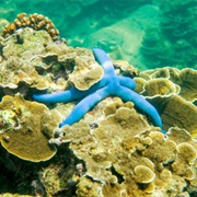 Ao Sane Beach, Phuket