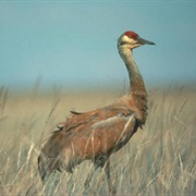 Hewitt Lake National Wildlife Refuge